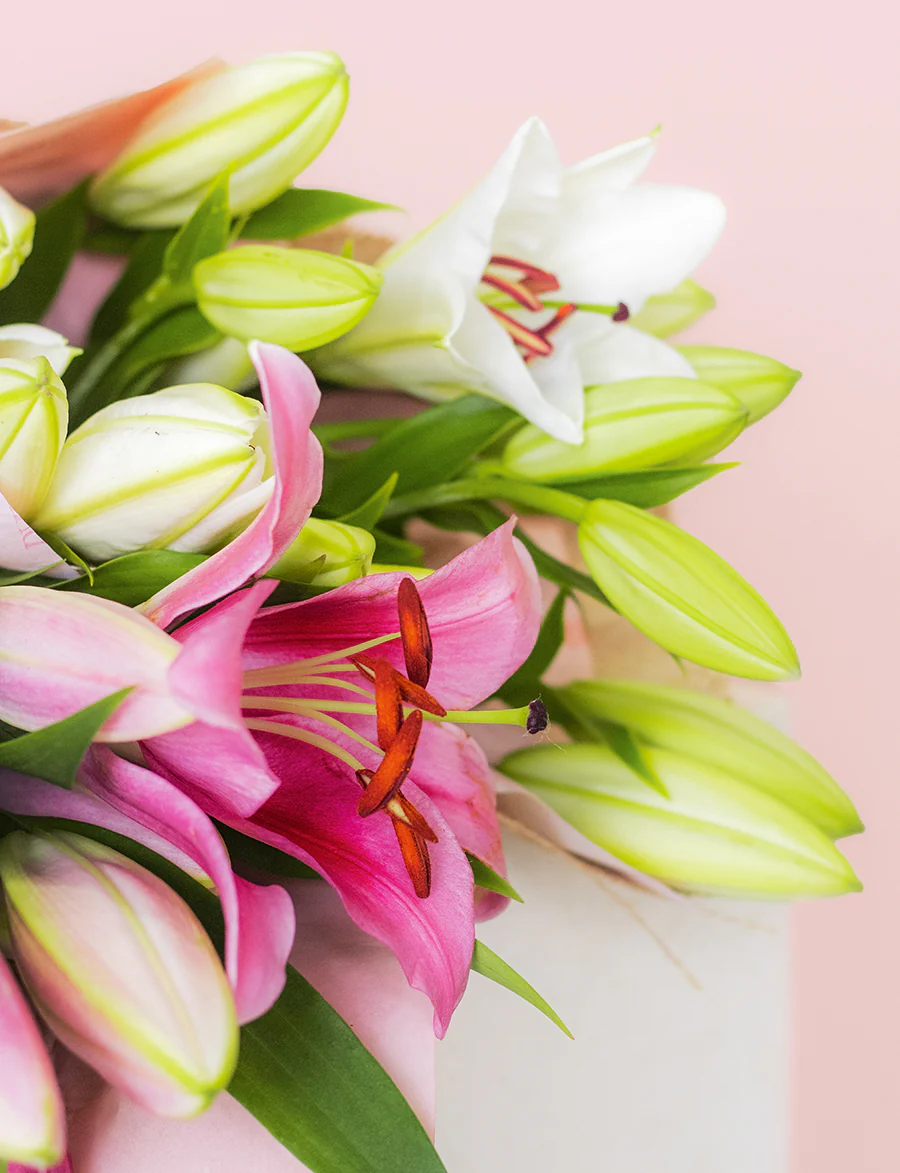 Oriental Lilies - Image 3