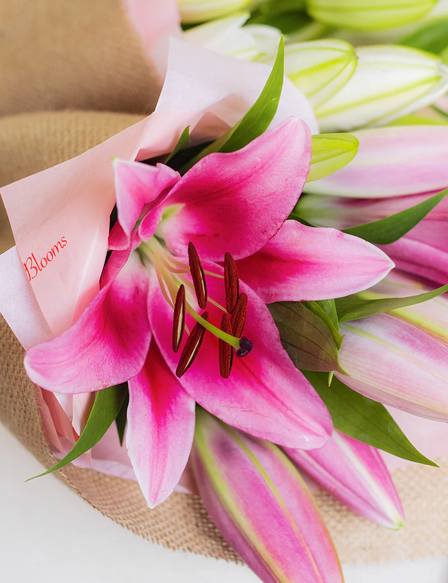 Oriental Lilies - Image 6