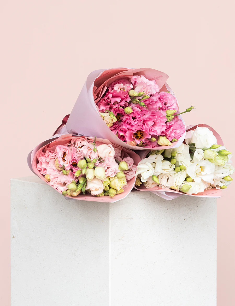 Lisianthus Lucky Dip - Image 3