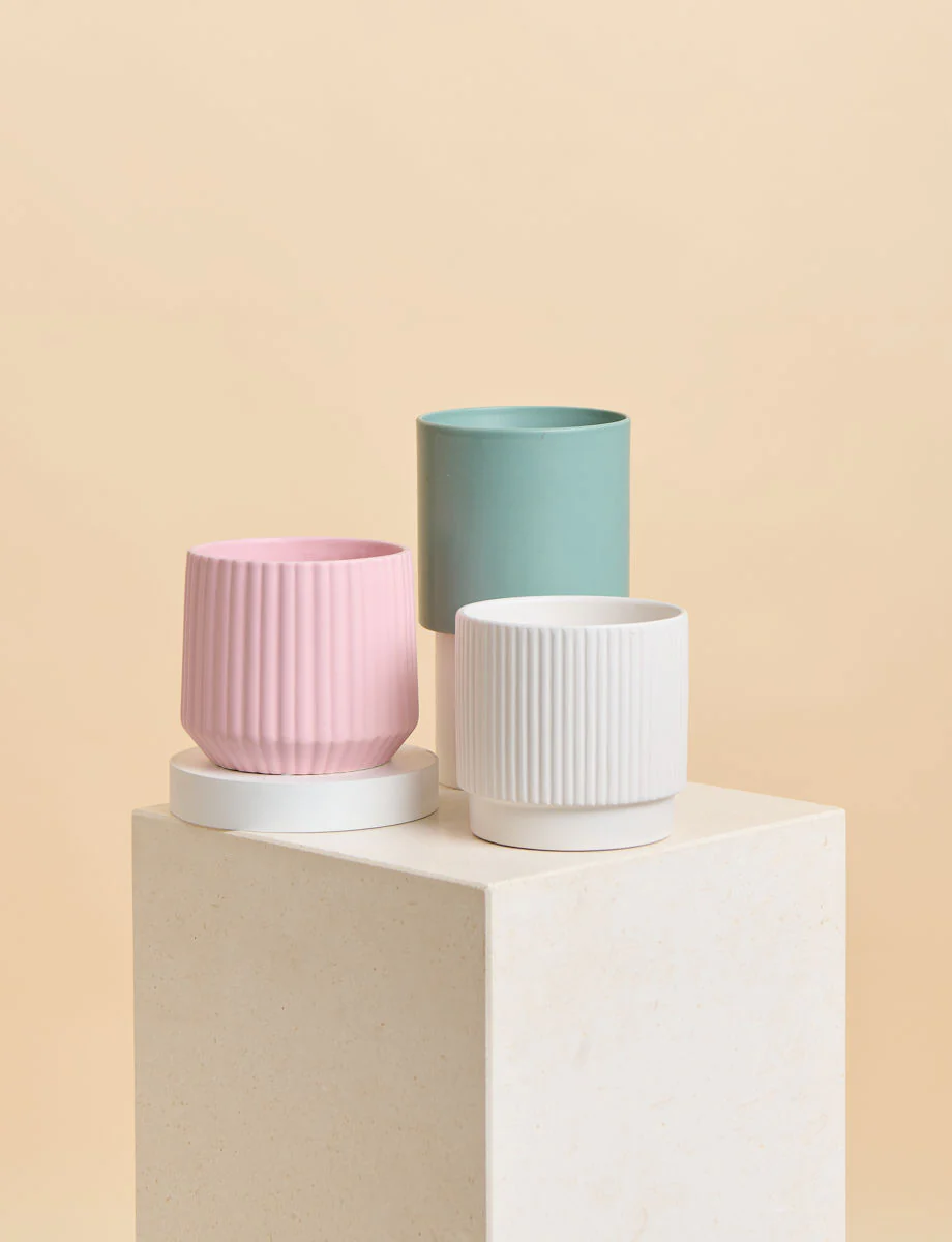 Green Thumb Bundle - Image 9