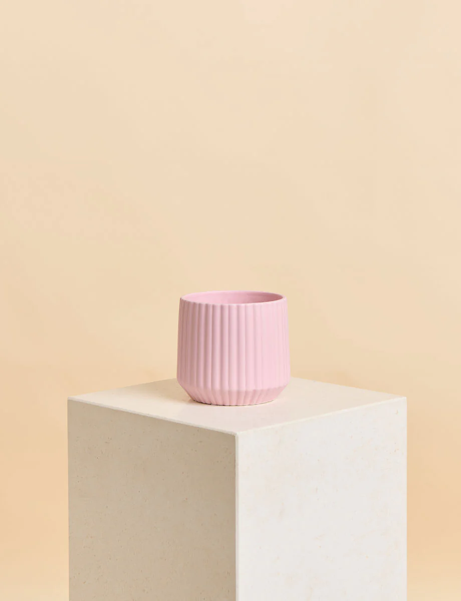 Green Thumb Bundle - Image 3